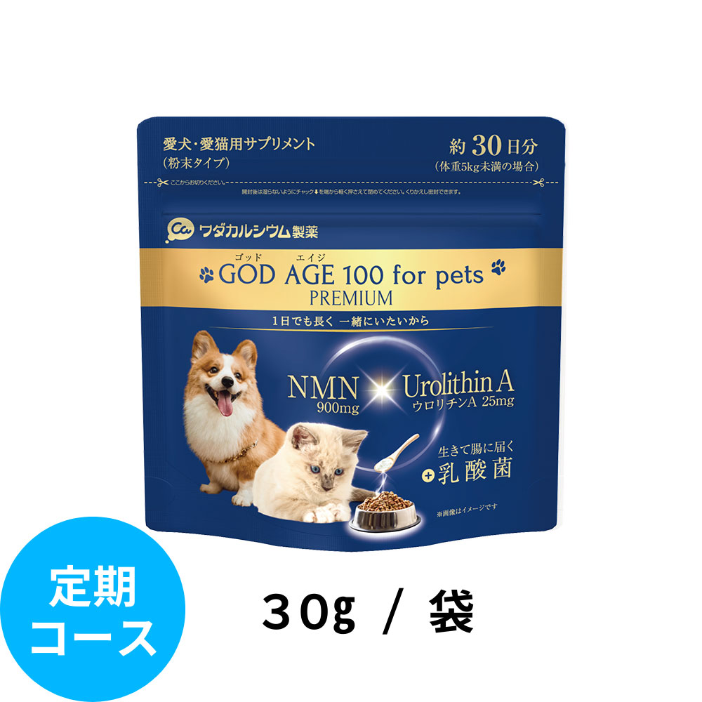 シゲタ動物薬品工業 貴重。 シゲタ動物薬品工業 貴重。 - メルカリ