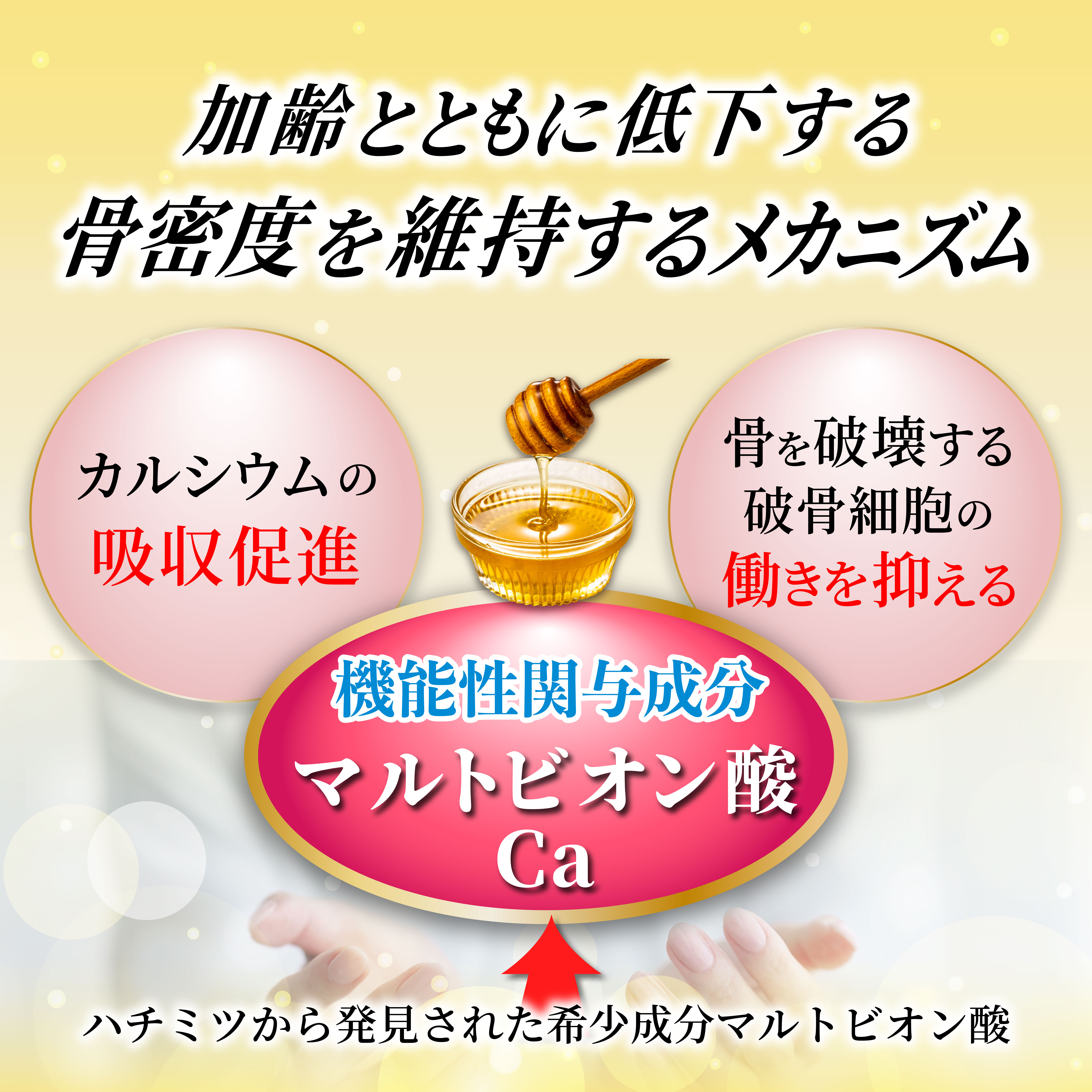 3セットまとめ購入】骨密度＆免疫ケアタブレット 約15日分×6袋（約90日