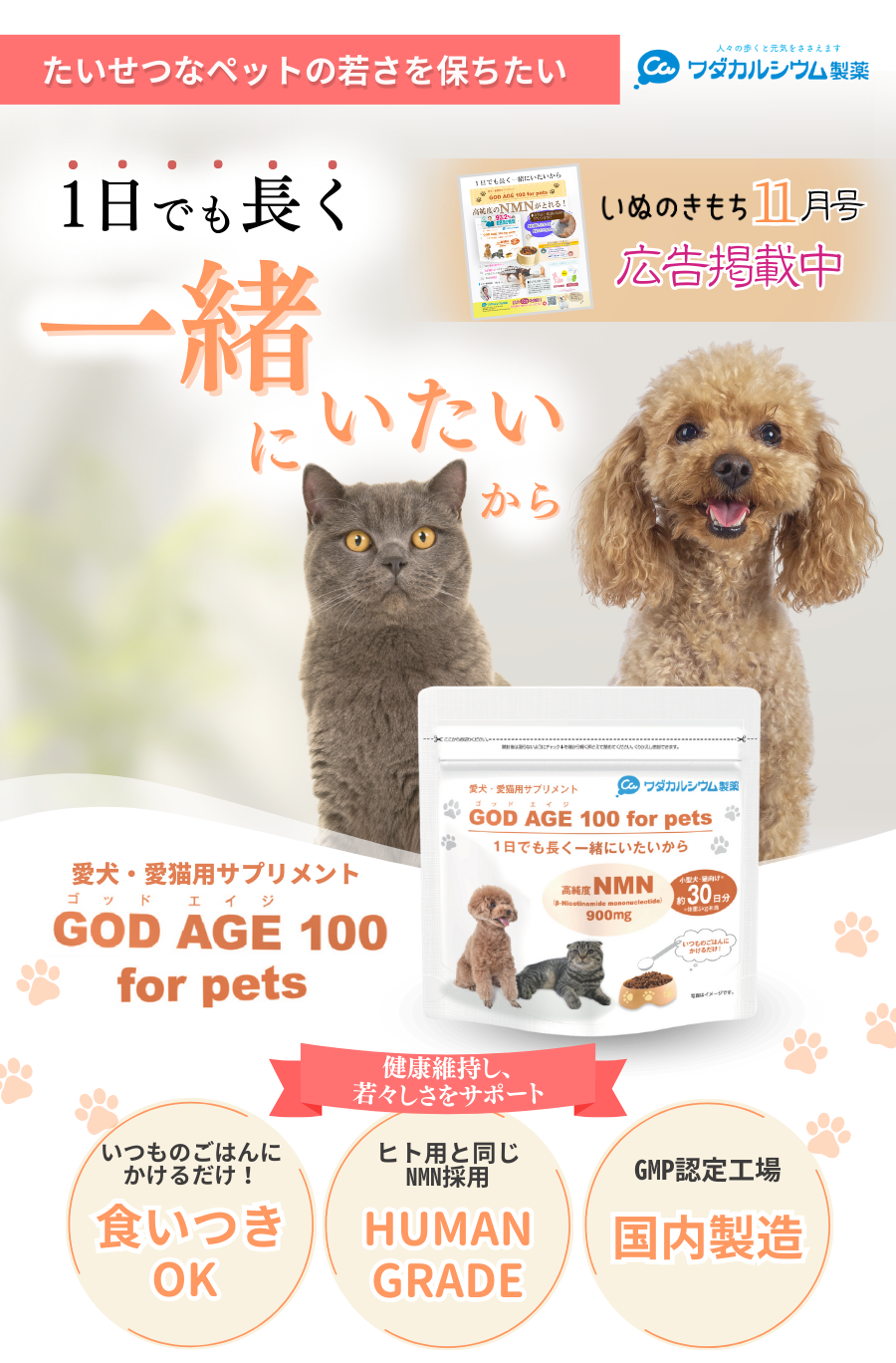 ワダカルシウム製薬【公式通販】ワダカルショップ カルシウムや
